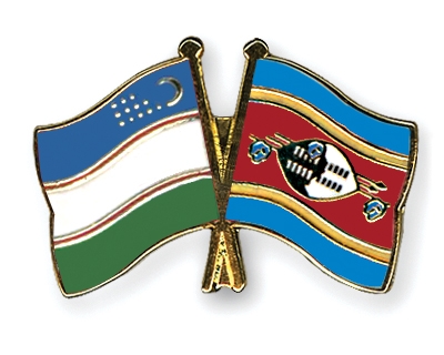 Fahnen Pins Usbekistan Swasiland