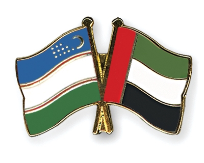 Fahnen Pins Usbekistan Ver-Arab-Emirate