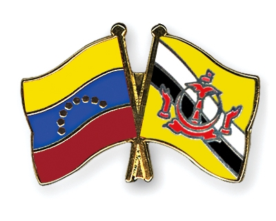 Fahnen Pins Venezuela Brunei-Darussalam
