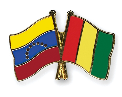 Fahnen Pins Venezuela Guinea