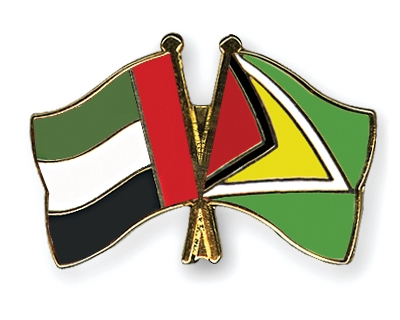 Fahnen Pins Ver-Arab-Emirate Guyana