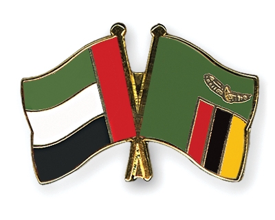 Fahnen Pins Ver-Arab-Emirate Sambia