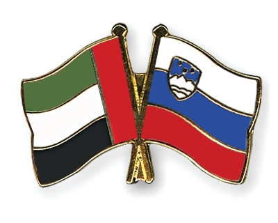 Fahnen Pins Ver-Arab-Emirate Slowenien