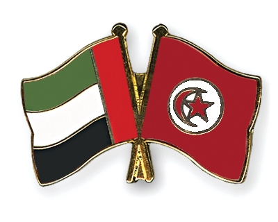 Fahnen Pins Ver-Arab-Emirate Tunesien