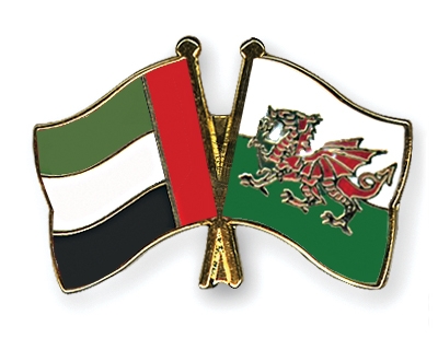 Fahnen Pins Ver-Arab-Emirate Wales