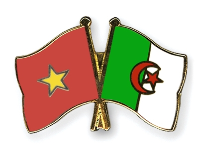 Fahnen Pins Vietnam Algerien