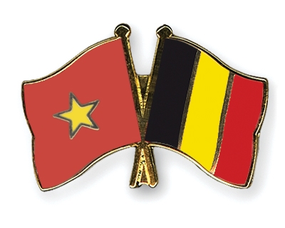 Fahnen Pins Vietnam Belgien