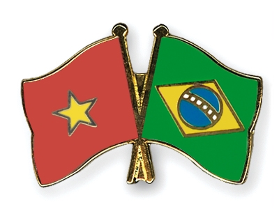 Fahnen Pins Vietnam Brasilien