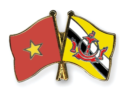 Fahnen Pins Vietnam Brunei-Darussalam