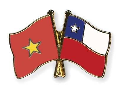 Fahnen Pins Vietnam Chile