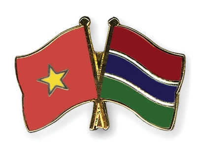 Fahnen Pins Vietnam Gambia