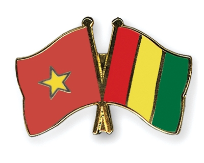 Fahnen Pins Vietnam Guinea