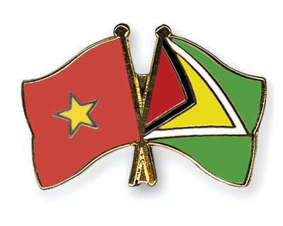 Fahnen Pins Vietnam Guyana