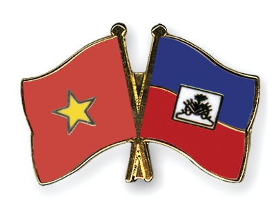 Fahnen Pins Vietnam Haiti