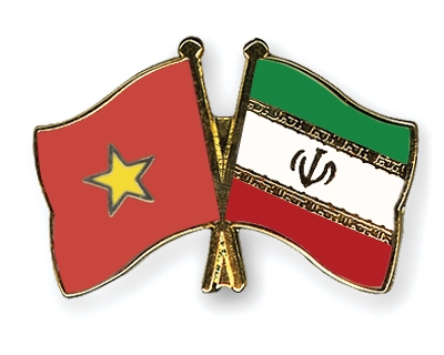 Fahnen Pins Vietnam Iran