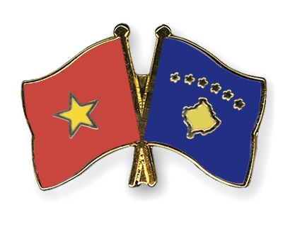 Fahnen Pins Vietnam Kosovo
