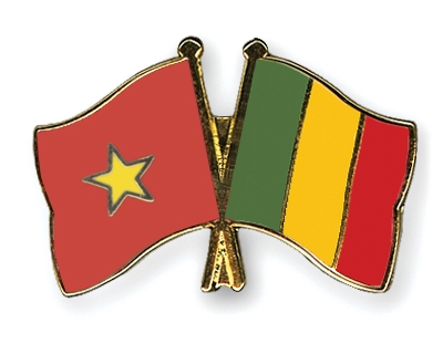 Fahnen Pins Vietnam Mali