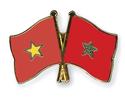 Fahnen Pins Vietnam Marokko