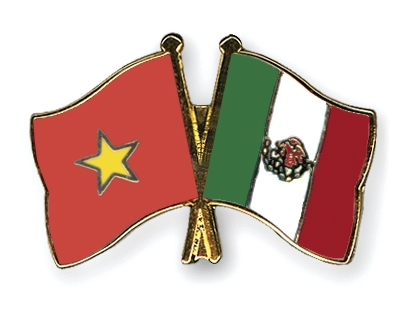 Fahnen Pins Vietnam Mexiko