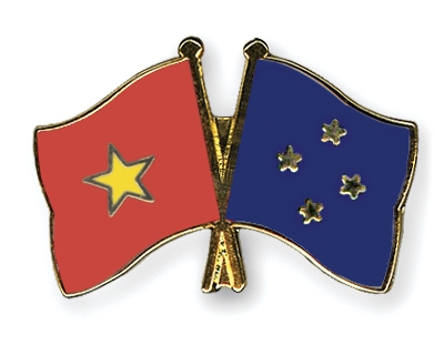 Fahnen Pins Vietnam Mikronesien