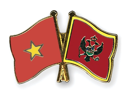 Fahnen Pins Vietnam Montenegro