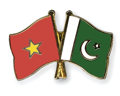 Fahnen Pins Vietnam Pakistan