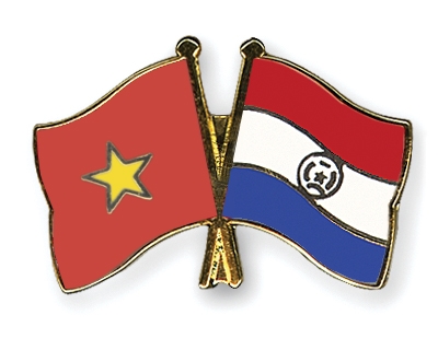 Fahnen Pins Vietnam Paraguay