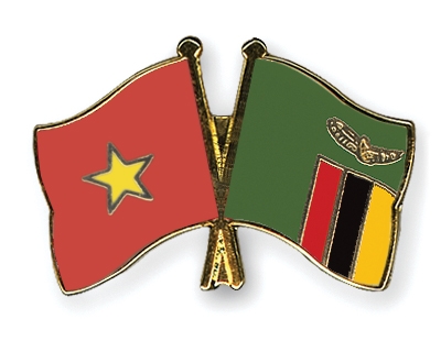 Fahnen Pins Vietnam Sambia