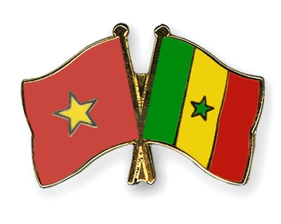 Fahnen Pins Vietnam Senegal