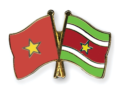 Fahnen Pins Vietnam Surinam