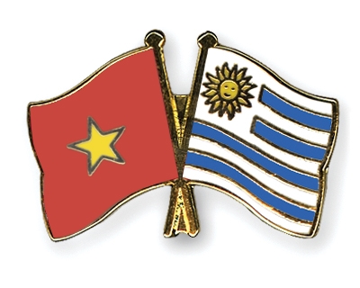Fahnen Pins Vietnam Uruguay