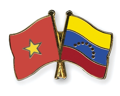 Fahnen Pins Vietnam Venezuela