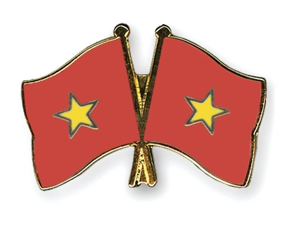 Fahnen Pins Vietnam Vietnam