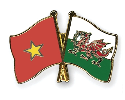 Fahnen Pins Vietnam Wales