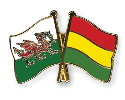 Fahnen Pins Wales Bolivien