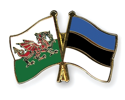 Fahnen Pins Wales Estland