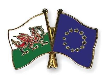 Fahnen Pins Wales Europa
