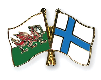 Fahnen Pins Wales Finnland