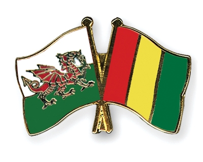 Fahnen Pins Wales Guinea