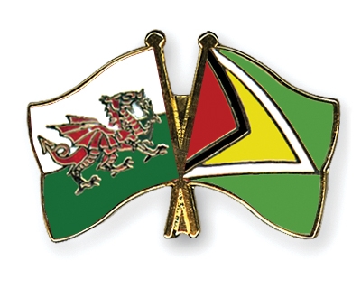 Fahnen Pins Wales Guyana