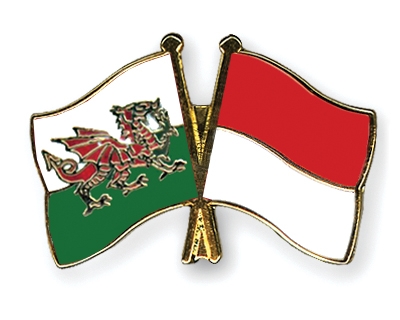 Fahnen Pins Wales Indonesien
