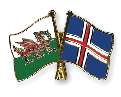 Fahnen Pins Wales Island