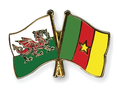 Fahnen Pins Wales Kamerun