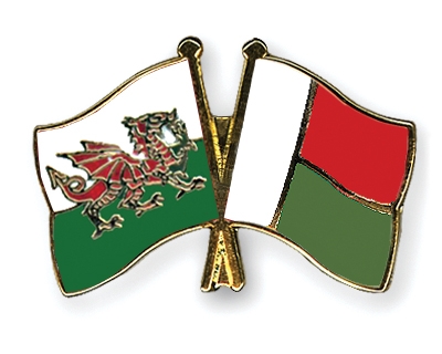 Fahnen Pins Wales Madagaskar
