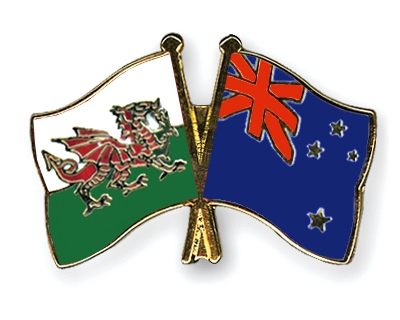 Fahnen Pins Wales Neuseeland