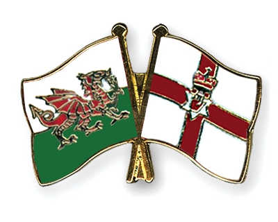 Fahnen Pins Wales Nordirland