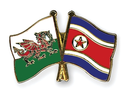 Fahnen Pins Wales Nordkorea