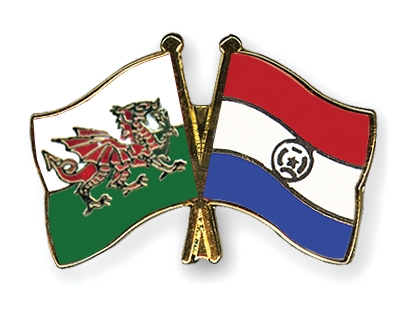 Fahnen Pins Wales Paraguay