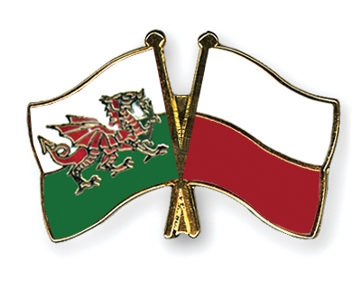 Fahnen Pins Wales Polen