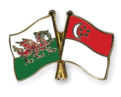 Fahnen Pins Wales Singapur